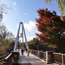 端の近くは素敵な紅葉が…