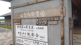 自然を理解する