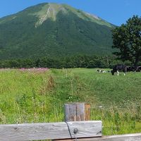 大山(伯耆富士)