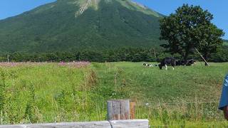 大山(伯耆富士)