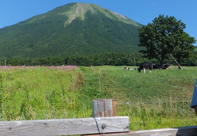 大山周辺のおすすめ観光スポット クチコミ人気ランキングtop フォートラベル 鳥取県