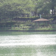 池を中心にした公園