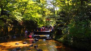 天然プール遊び