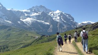 絶景を楽しめる平坦なコース