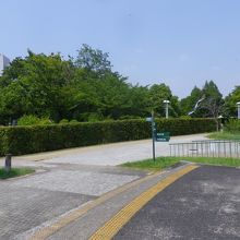 公園内