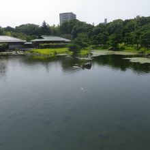 池の風景