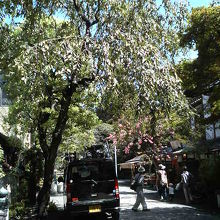 茶屋や深大寺そば屋などが並ぶ参道があります。