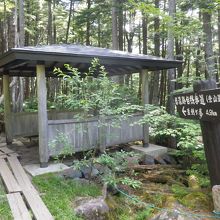 池一周の遊歩道と東屋