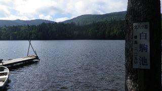 30分程で池一周が出来、自然が楽しめます