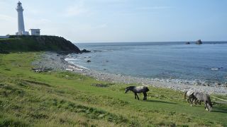 何気に下北半島で一番のお薦めスポット