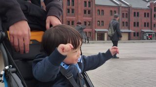 広い芝生が気持ちいい