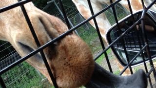 インターネット会員になるのが一番お得