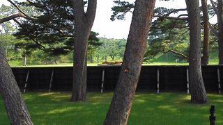 施設が新しく見どころ満載です。