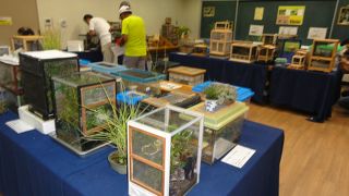 大人も子供も楽しめます。