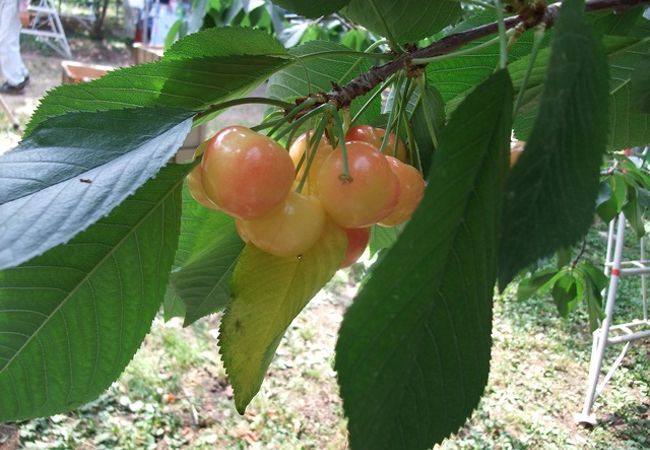 貴重な体験の宝庫