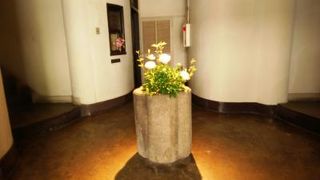 エントランスが素敵