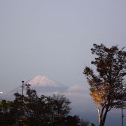 富士山を見た