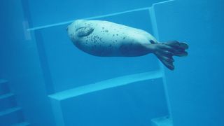 海の中道の定番