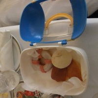 こちらのランチバッグはお土産に持って帰れました