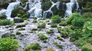ひんや～り、マイナスイオンたっぷり！