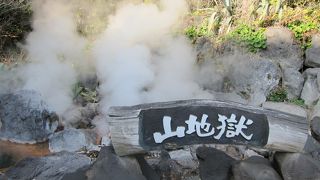ミニ動物園と思えば