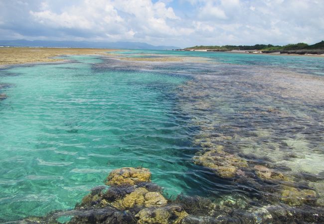 仲本海岸 クチコミ アクセス 営業時間 西表島 フォートラベル
