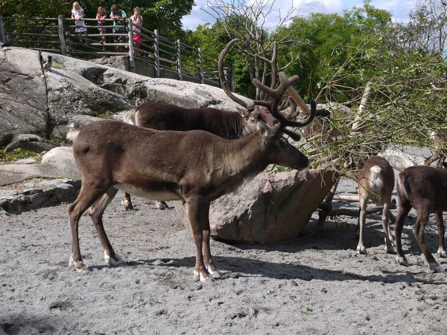 スカンセン