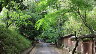 宇治から源氏物語ミュージアム辺りまでは木陰の散歩道