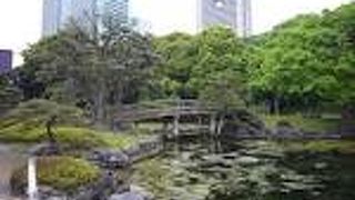 THE都会のオアシス　