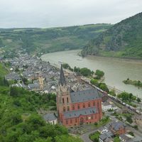 ライン川とオバーベーゼルの街並みです。