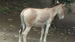 とても広い園内で、たっぷり遊べます。