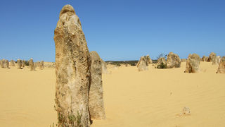 パースの観光地と言えばピナクルス