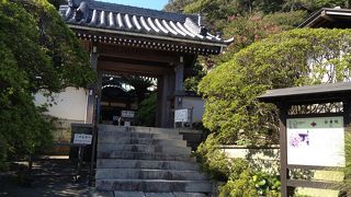 安養院は北条政子の法名