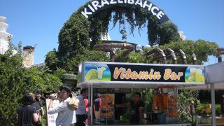 トルコ風ピザを「キラズリバチェ（KIRAZLIBAHCE）」～コンヤ～