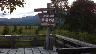 8月の今の戦場ヶ原は草ぼうぼうで、湿原はない