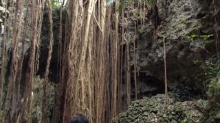 気軽に楽しめる沖縄の自然