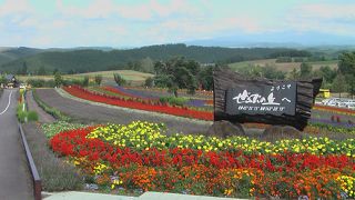 自然の美しさです