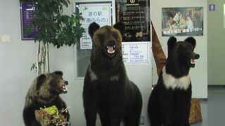 休憩場所に最適