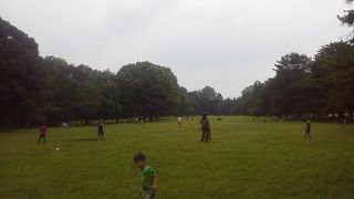 ここの広々した緑の中で「野川公園」