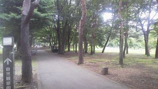 サイクリング＆BBQでも「野川公園」