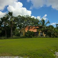 ホテル敷地内です