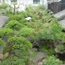 ２階から中庭が眺められます