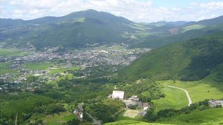 緑、緑、緑です