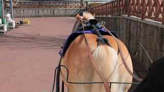 幼児も楽しめる工夫がいっぱい