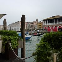 テラスレストランの景色。ちょっと植え込みの木が邪魔