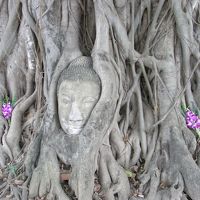 ワット マハータート