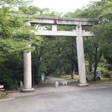 駐車場脇の鳥居