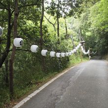 なかなか気分のいい山道です