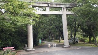 姫路市内がよく見えます