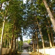 土佐の苔寺